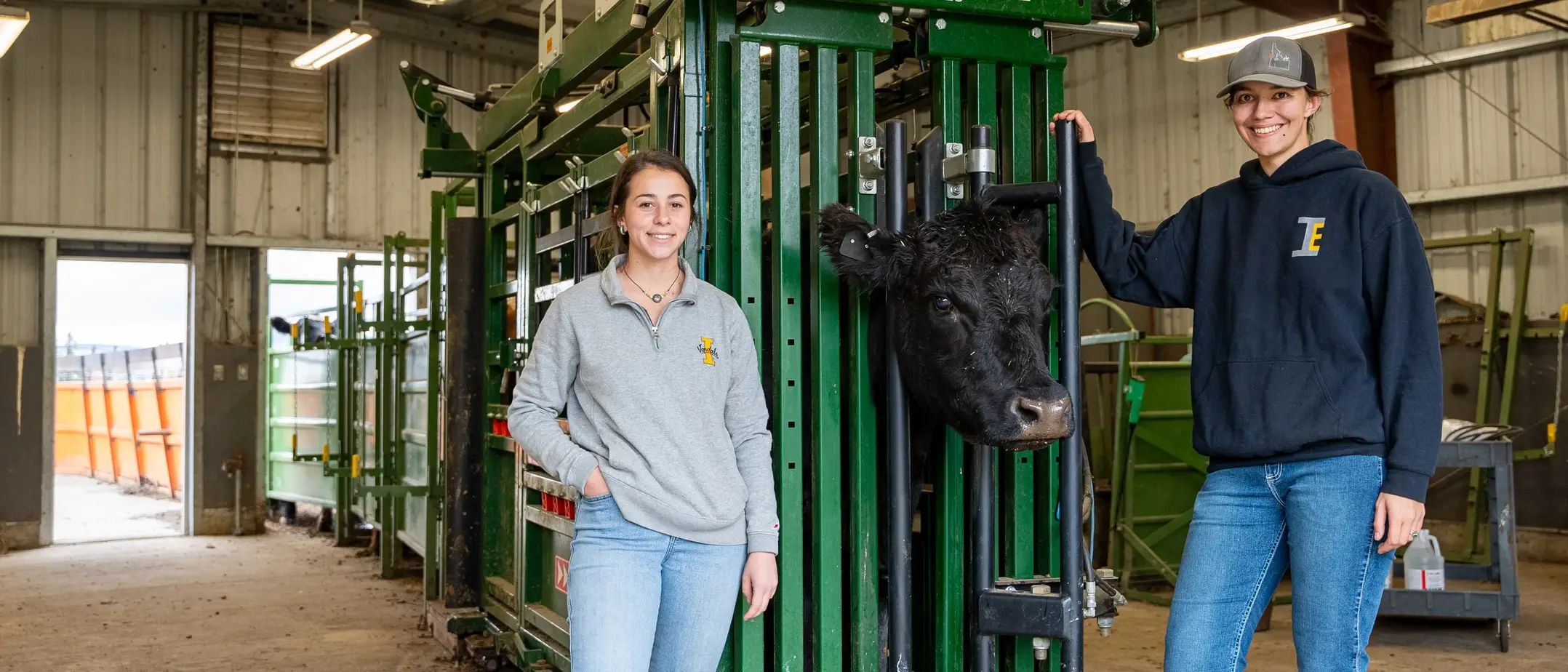 Emma Macon a CNR student studying Rangeland Science shows Virtual Fence technology for cows.