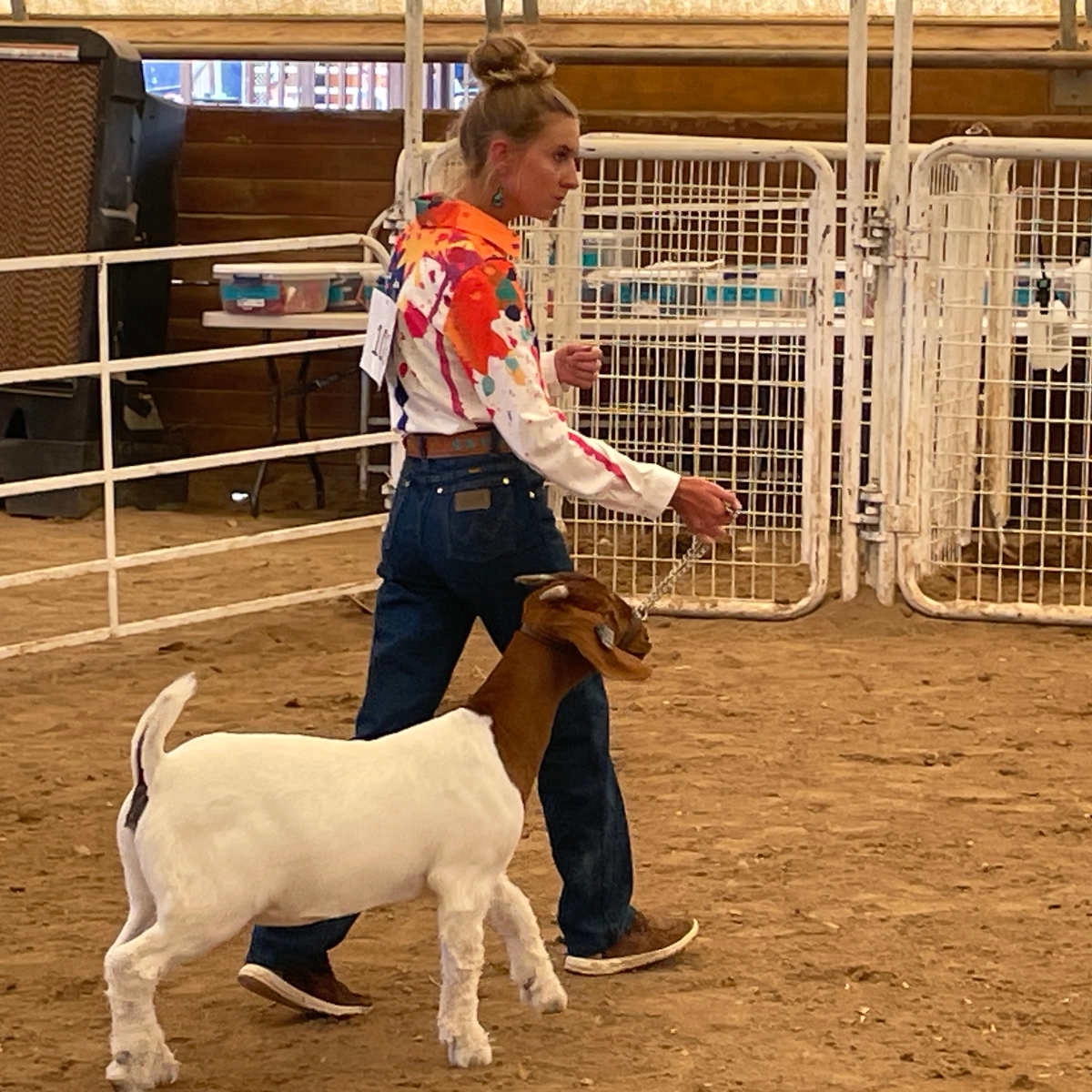 A 4-H participant shows a goat at the fair