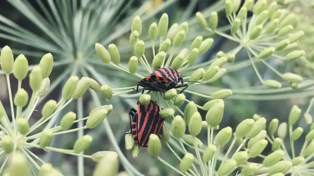 Landscapes and Gardens photos