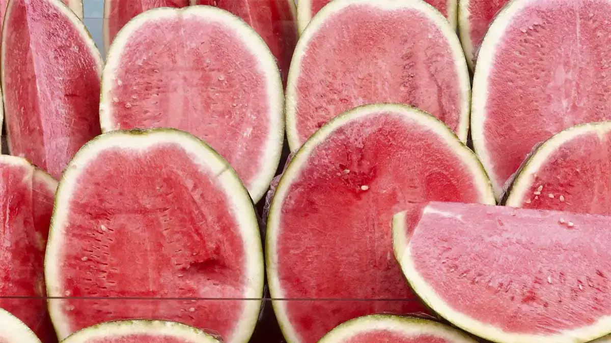 watermelon.jpg