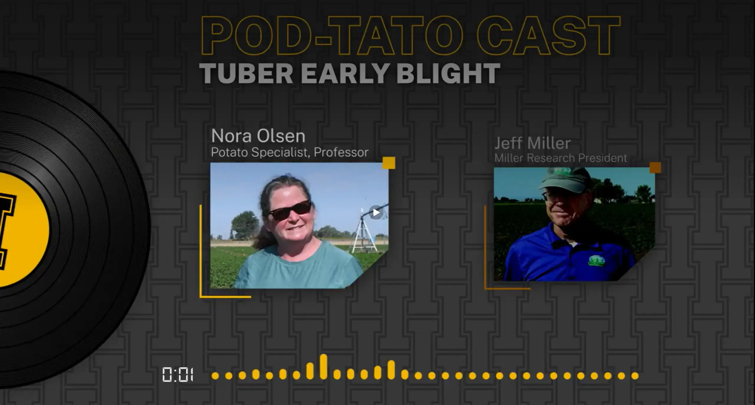 Early blight black pit tuber lesions video or podcast cover