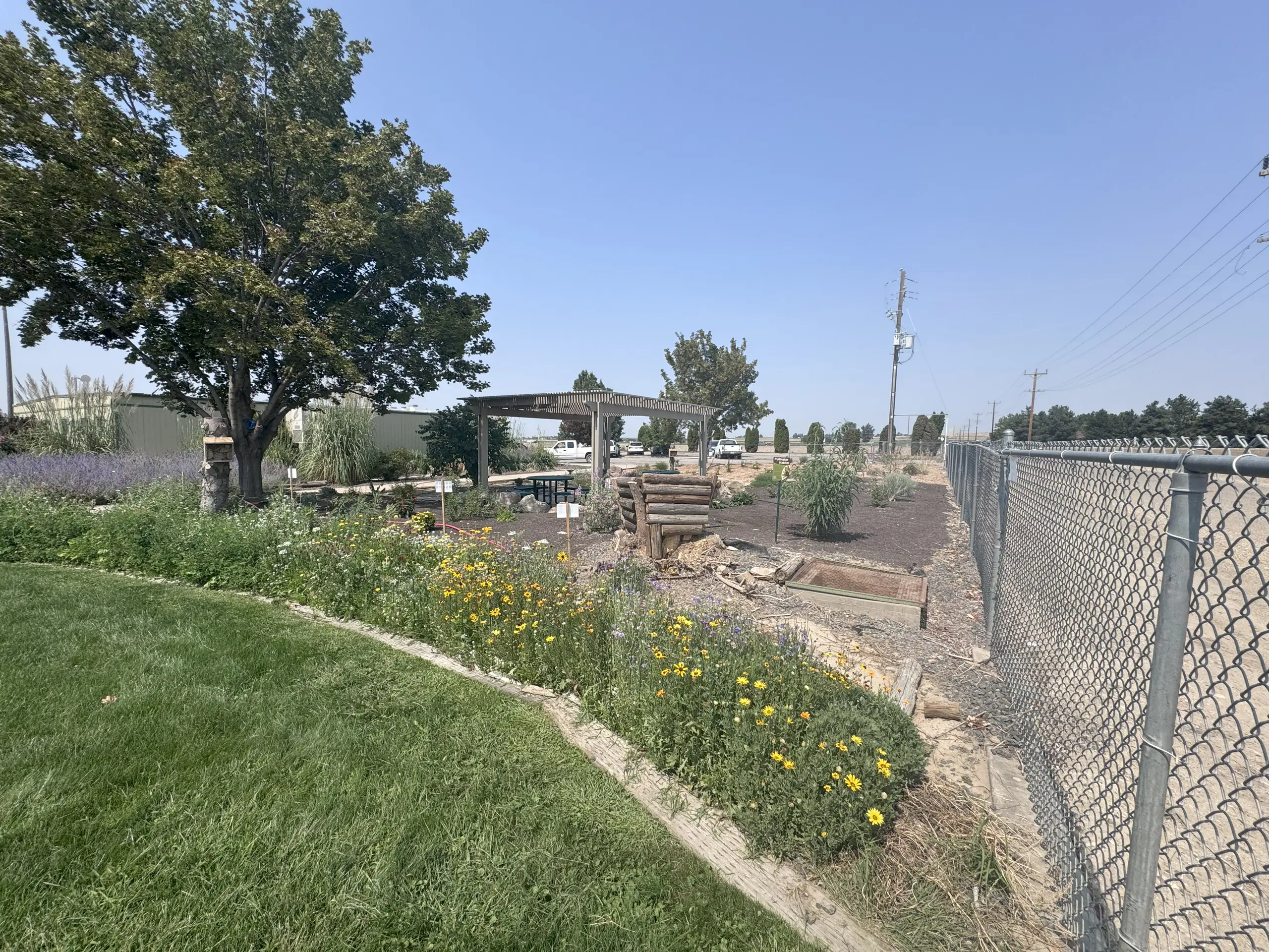 The new pollinator garden occupies a triangular bed along a chain-link fence, with a strip of yellow and orange flowers in the foreground and purple flowers next to a tree and a box designed to support native bees in the background.