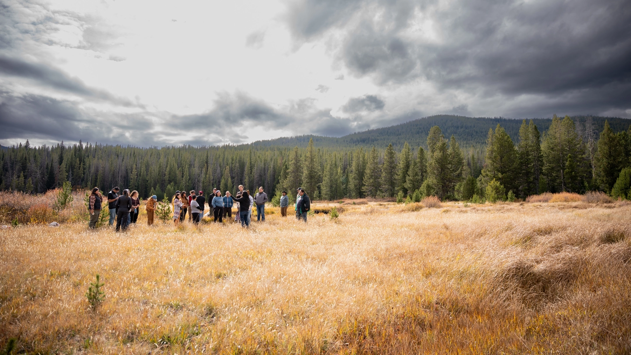 Photos of College of Education, Heath and Human Sciences Indigenous Knowledge for Effective Education Program (IKEEP) and Cultivating Indigenous Research Communities for Leadership in Education (CIRCLES) students at the McCall Outdoor Science School (MOSS) campus.