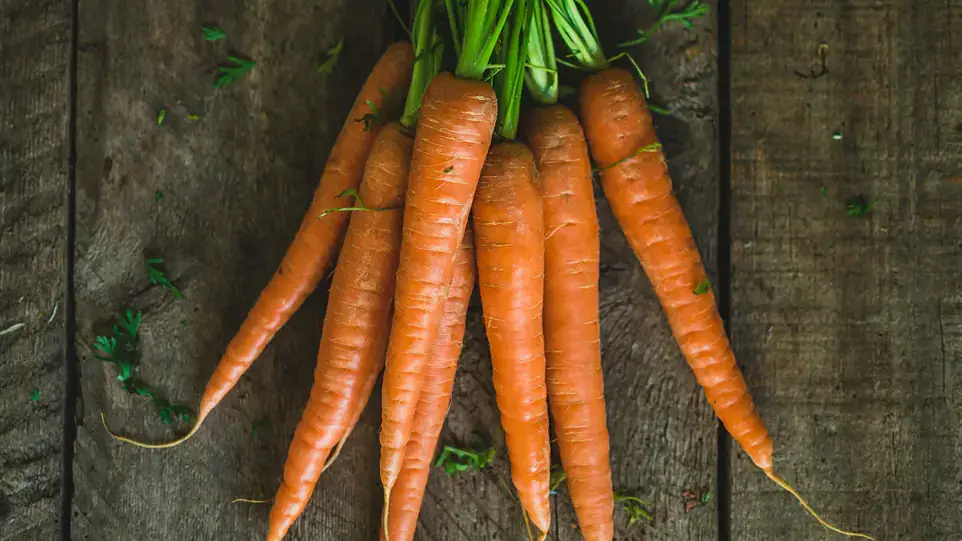 Landscapes and Gardens photos of carrots, parsnips and rutabagas