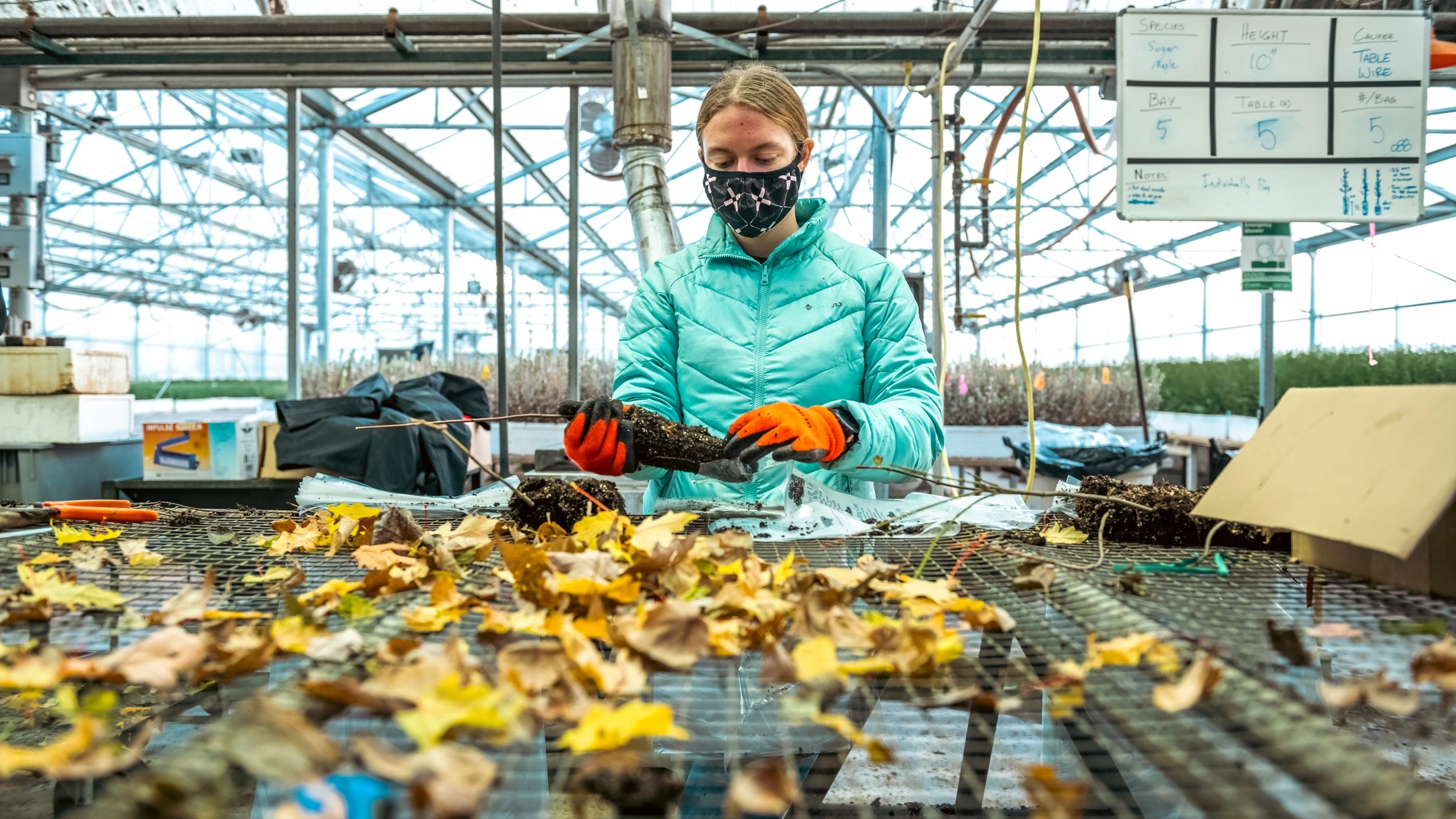 University of Idaho College of Natural Resources students learning hands-on in Pitkin Nursery