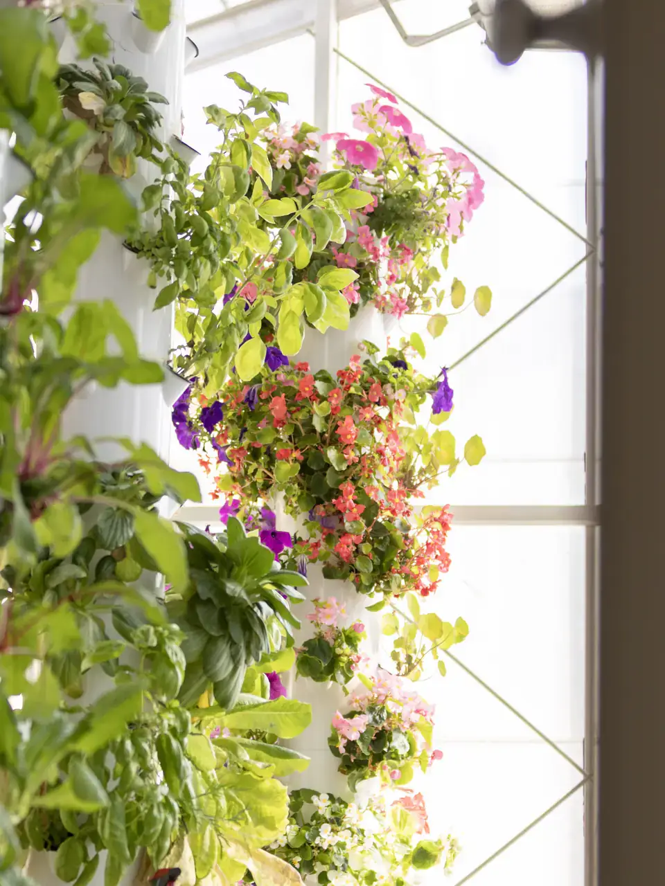 Vertical hydroponic towers with lush green foliage and colorful flowers in a bright indoor space.