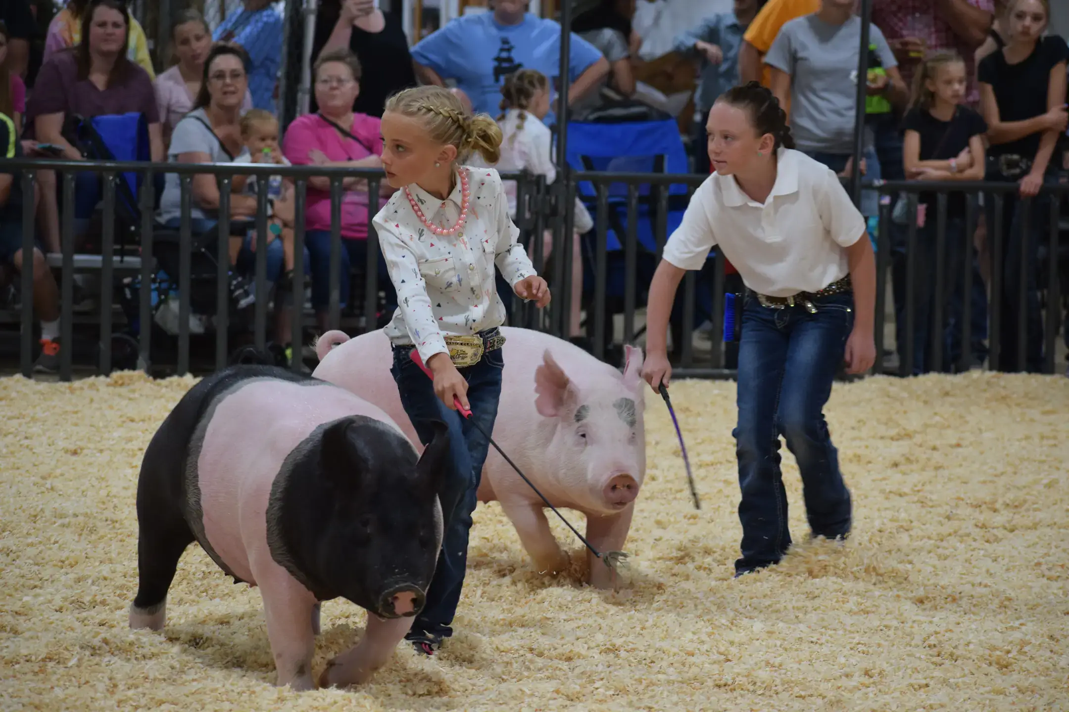 4-H youth photos across the state