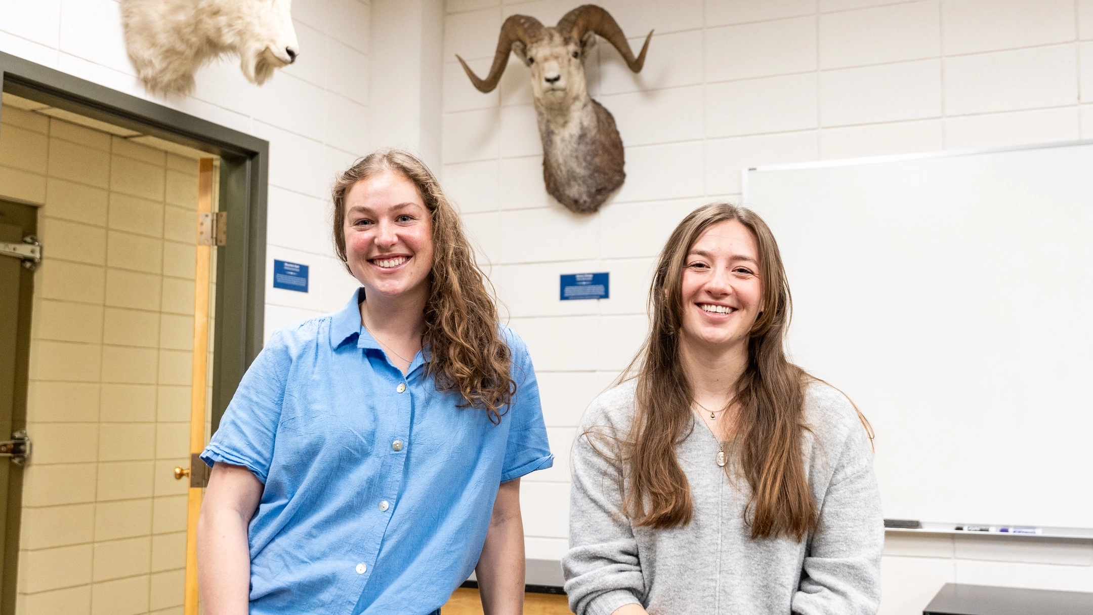College of Natural Resources graduate students, Emily Lowrimore (left) and Alexis Means, are studying bighorn sheep in Oregon’s John Day Canyon under Associate Professor Ryan Long.