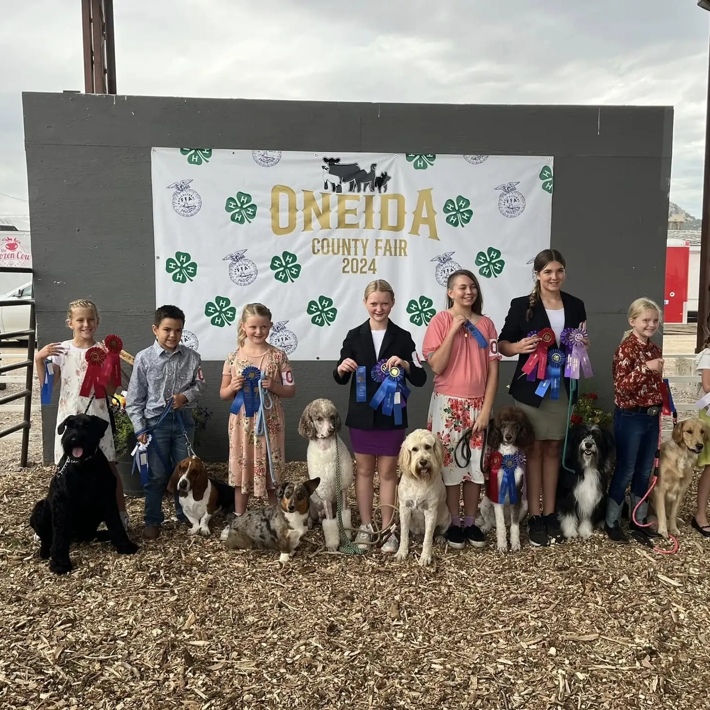 A group with dogs displays ribbons after showing.