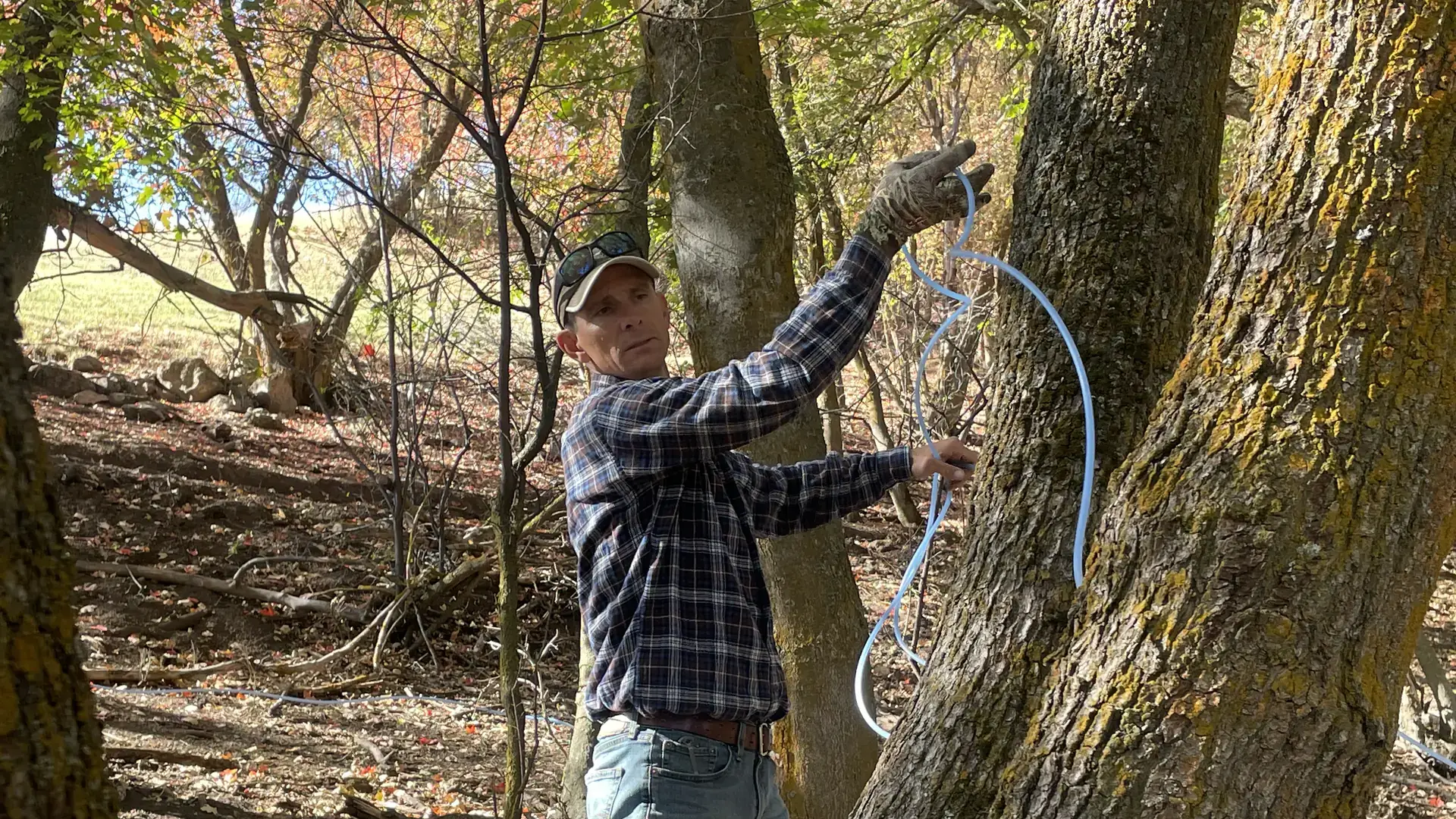 UI Extension program photos and files in counties