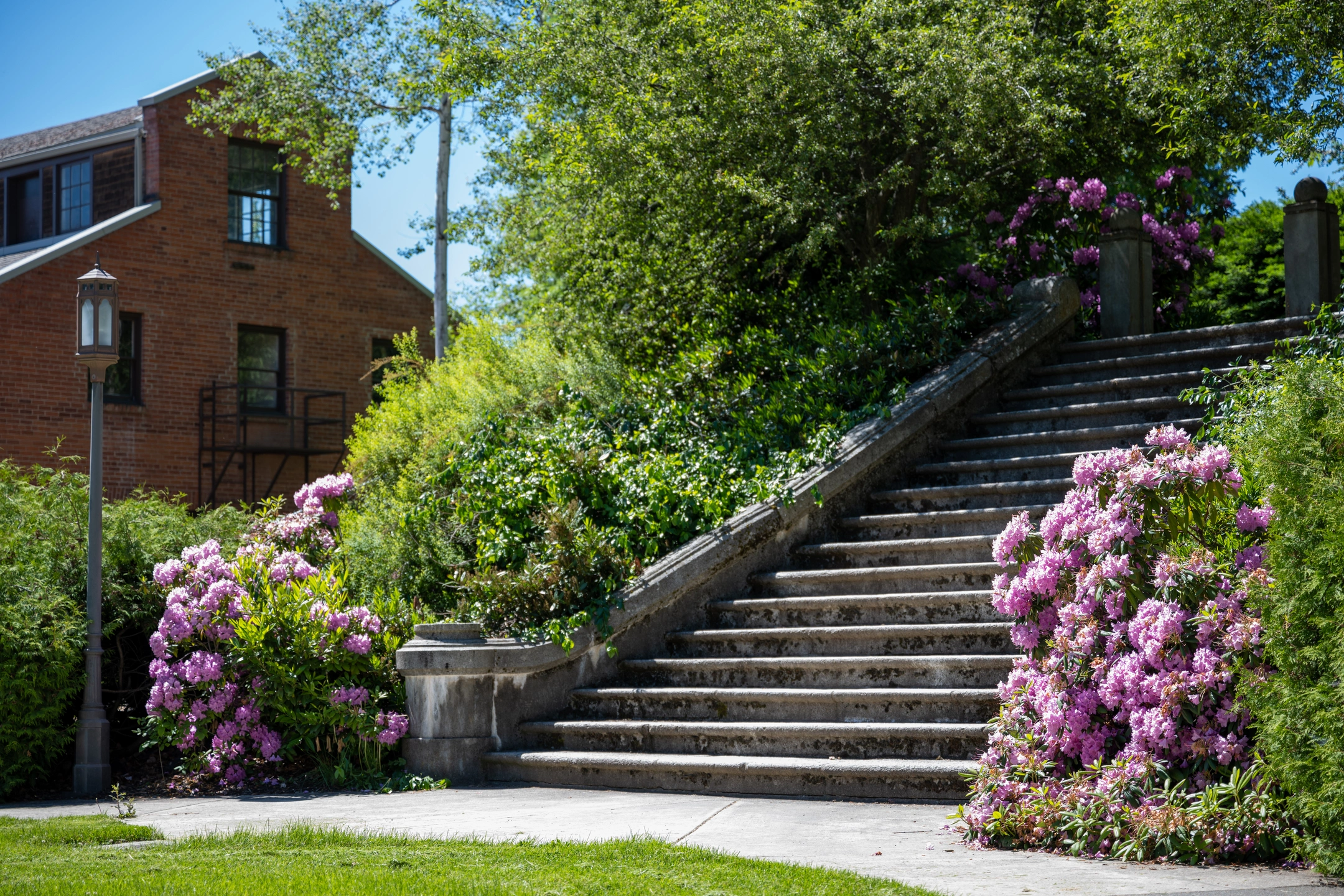 University of Idaho Campus spring stock 2022