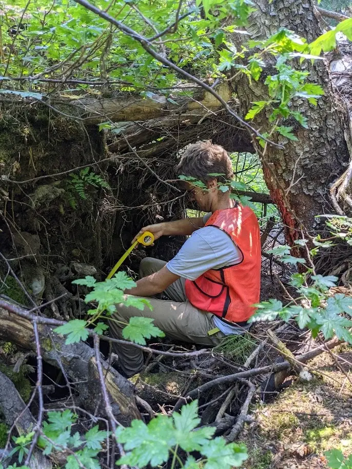 Man leans over small creek taking measurements.