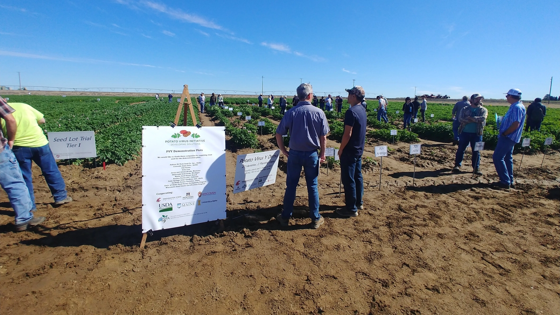 Potato Virus Initiative