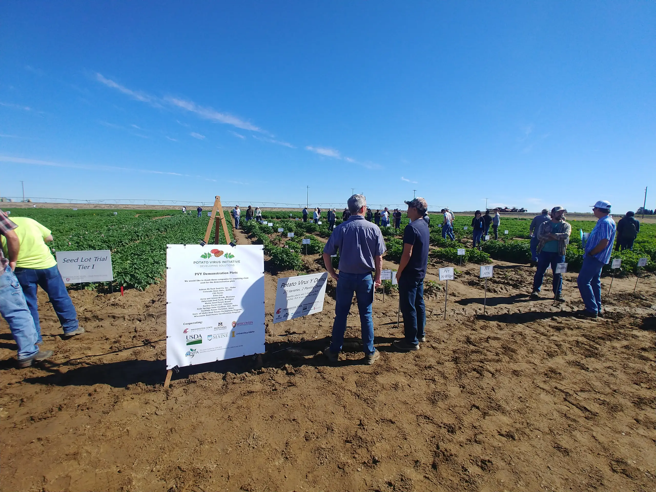 Potato Virus Initiative