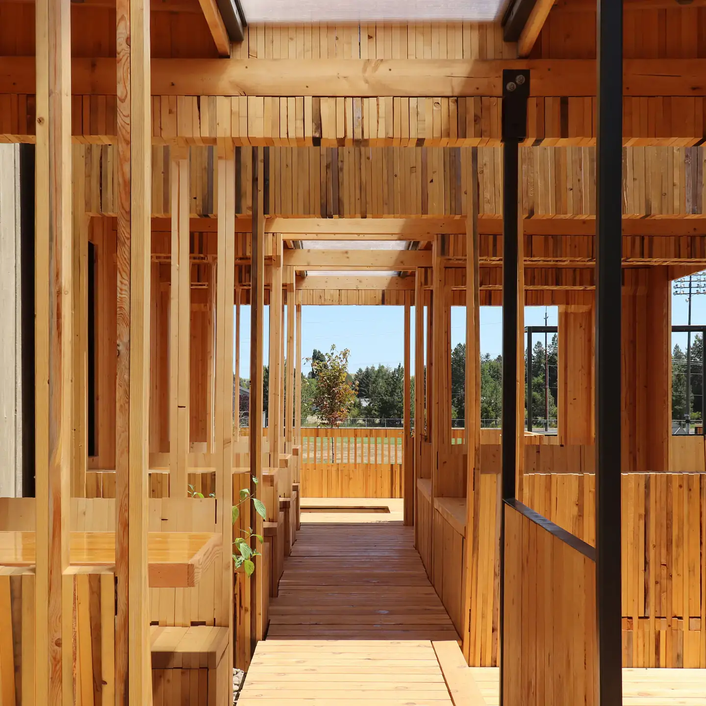 Wooden beams being implemented for the construction of a building.