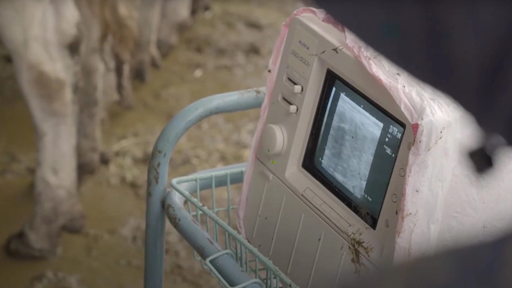 An ultrasound used for animals