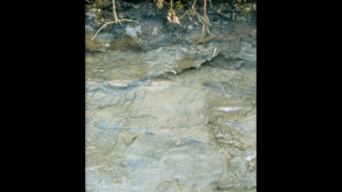 Gelisols soil layers