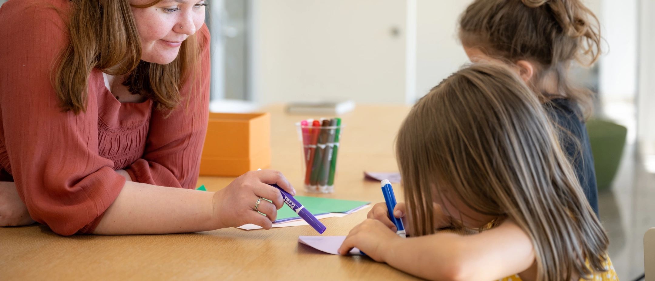 Student Impact feature for Direct Mailers