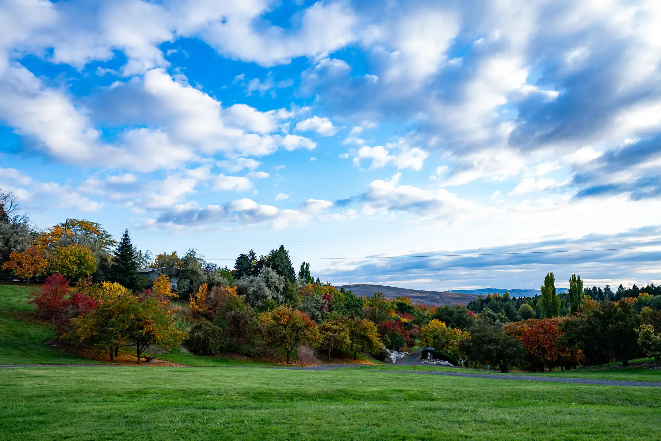 University of Idaho Moscow campus seasonal campus photos in the fall.