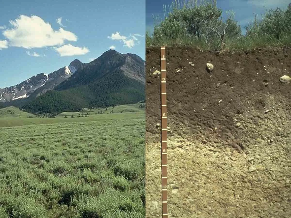 Mollisols cryoll landscape pachic argicryoll in Lemhi County Idaho