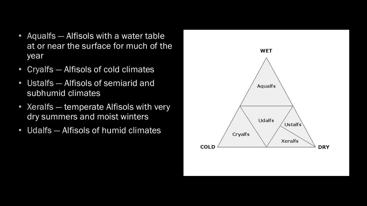 A diagram and description of Alfisols suborders.