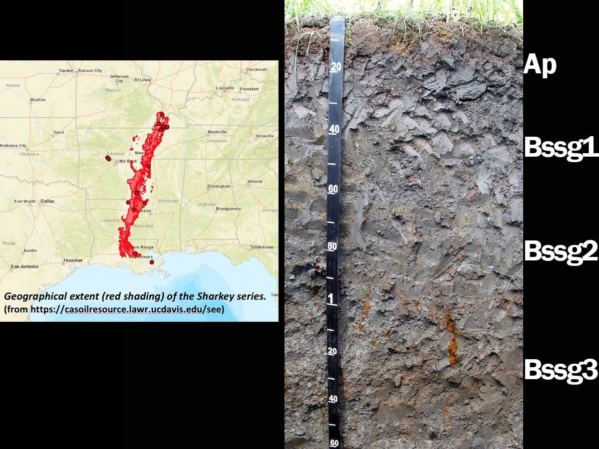 Chromic epiaquert and map showing vertisols in Arkansas