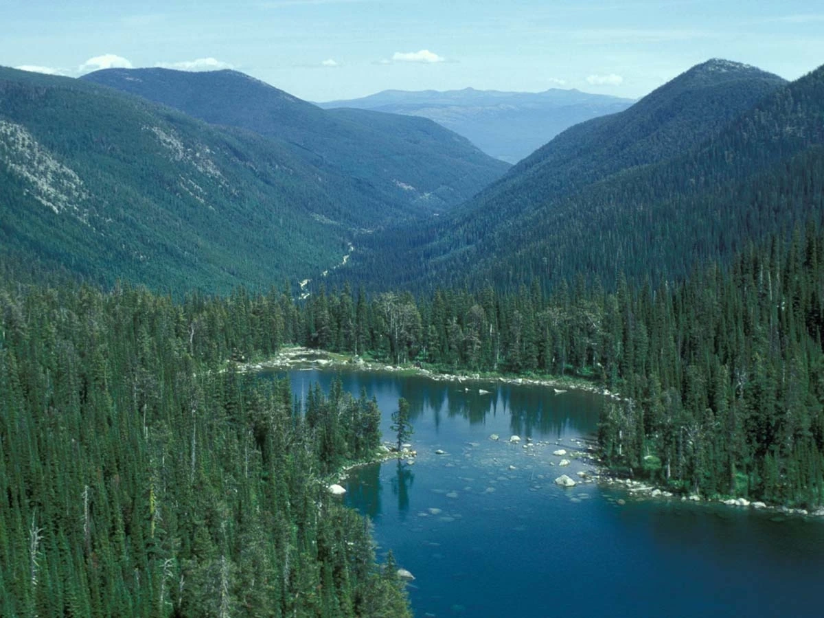 Cryod landscape of mountainous wilderness