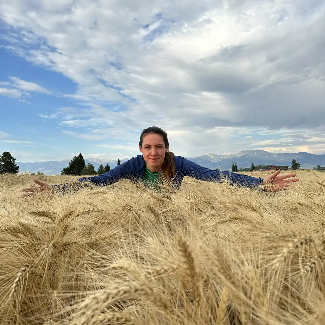 A person is leaning over a field of golden wheat with a cloud-streaked sky and distant mountains in the background.
