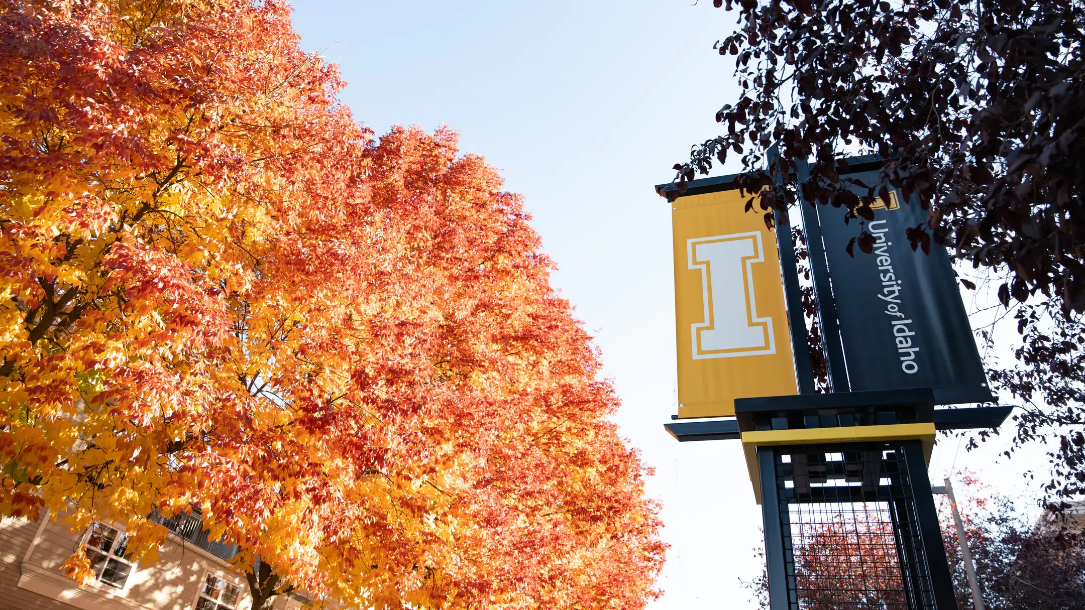 University of Idaho Moscow campus seasonal campus photos in the fall.