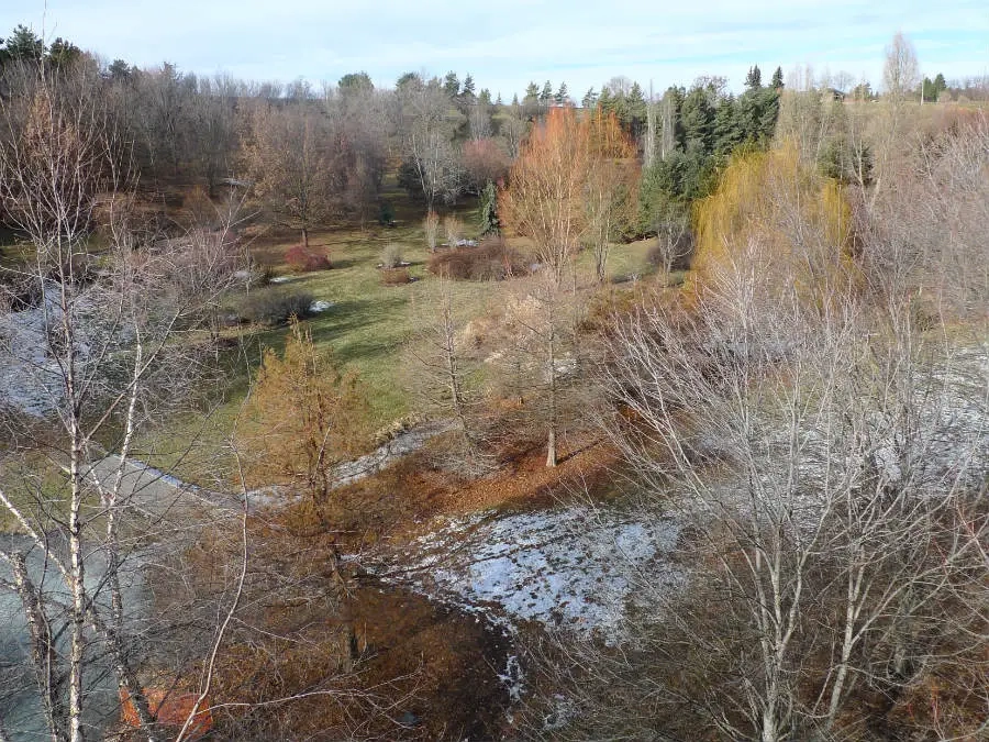 A view of the arboretum from above with melting snow