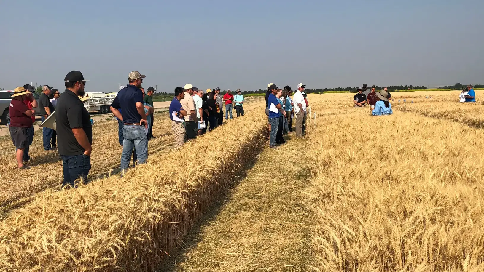 UI Extension program photos and files in counties