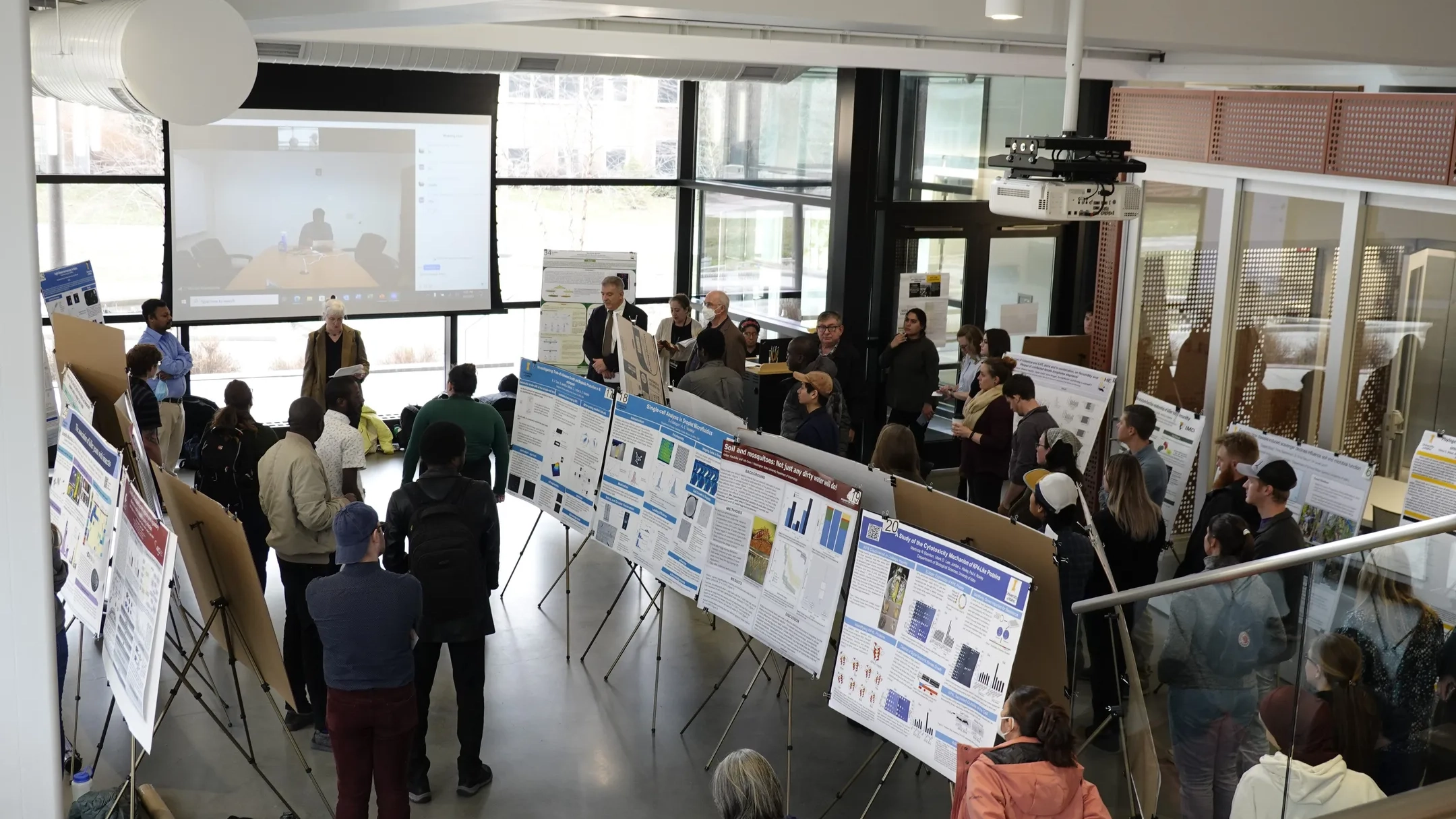 Poster boards inside a room with people walking around looking at them.