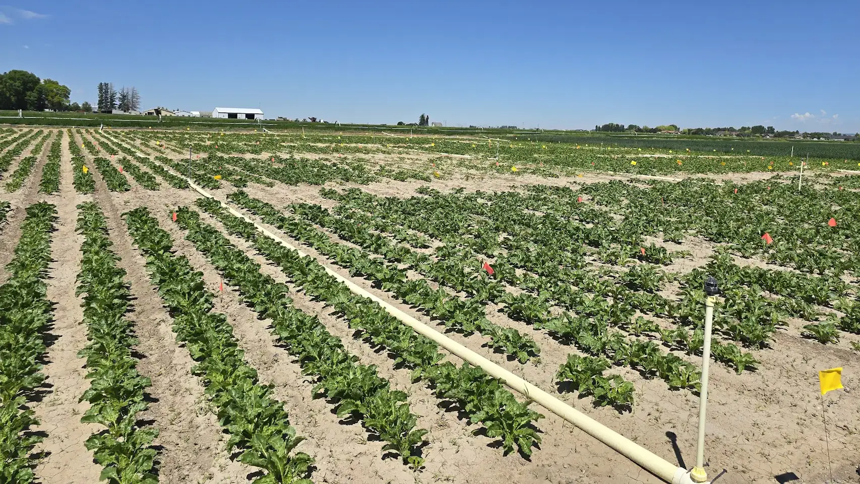 Kimberly Research and Extension Center photos