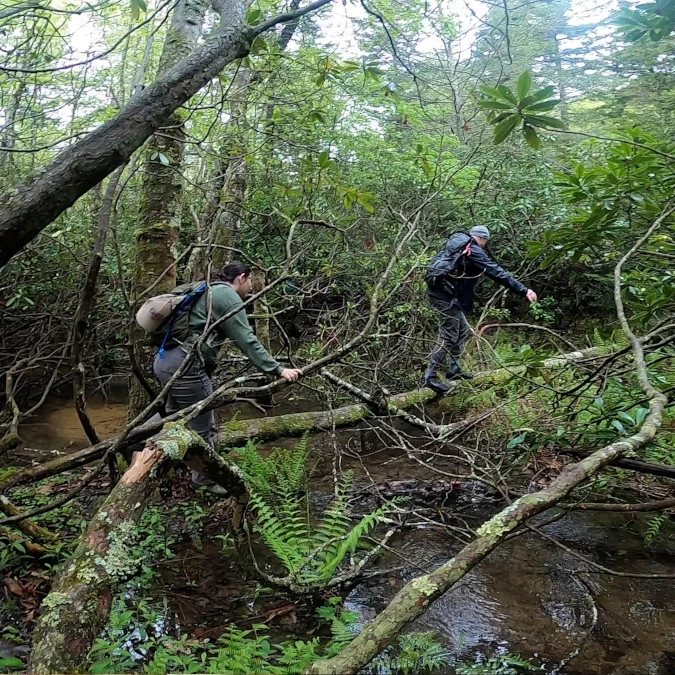 Students cross a forest stream.