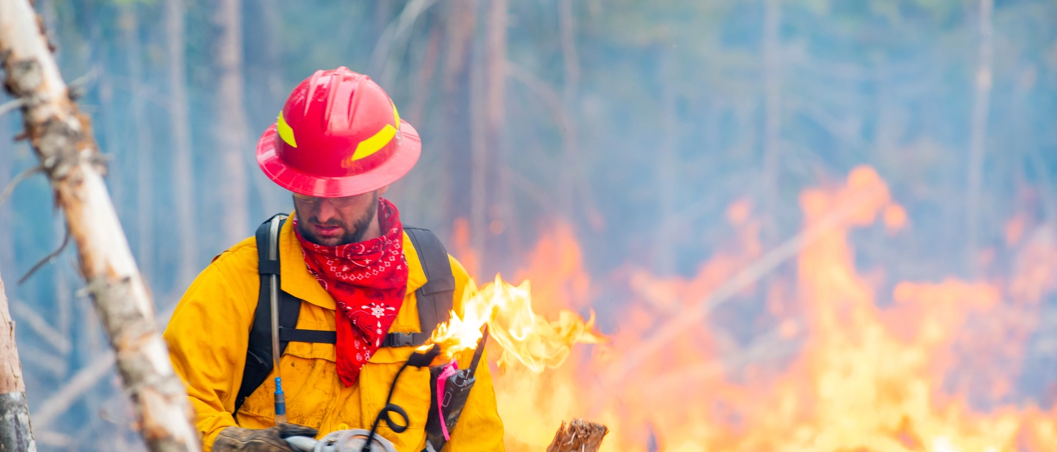 College of Natural Resources prescribed burn in the Ӱֱ Experimental Forest