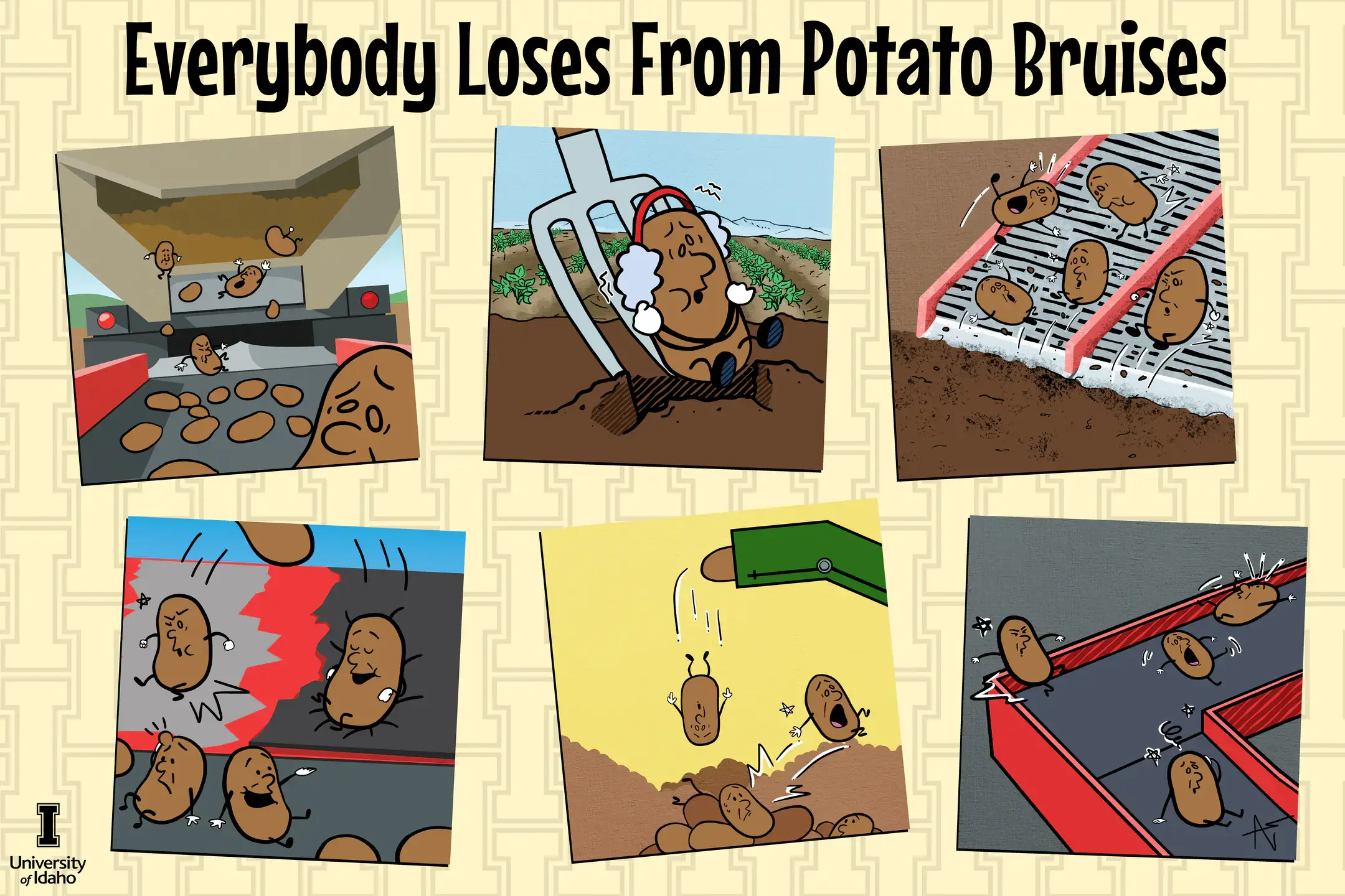 Illustrated poster titled ”Everybody loses from potato bruises,” featuring six cartoon panels showing animated potatoes experiencing mechanical damage at different points during harvest and handling — including falling from a truck, being struck by harvester tines, bouncing on a sorting conveyor, colliding in a truck bed, dropping off a belt conveyor and impacting a bin wall. University of Idaho logo in lower left corner.