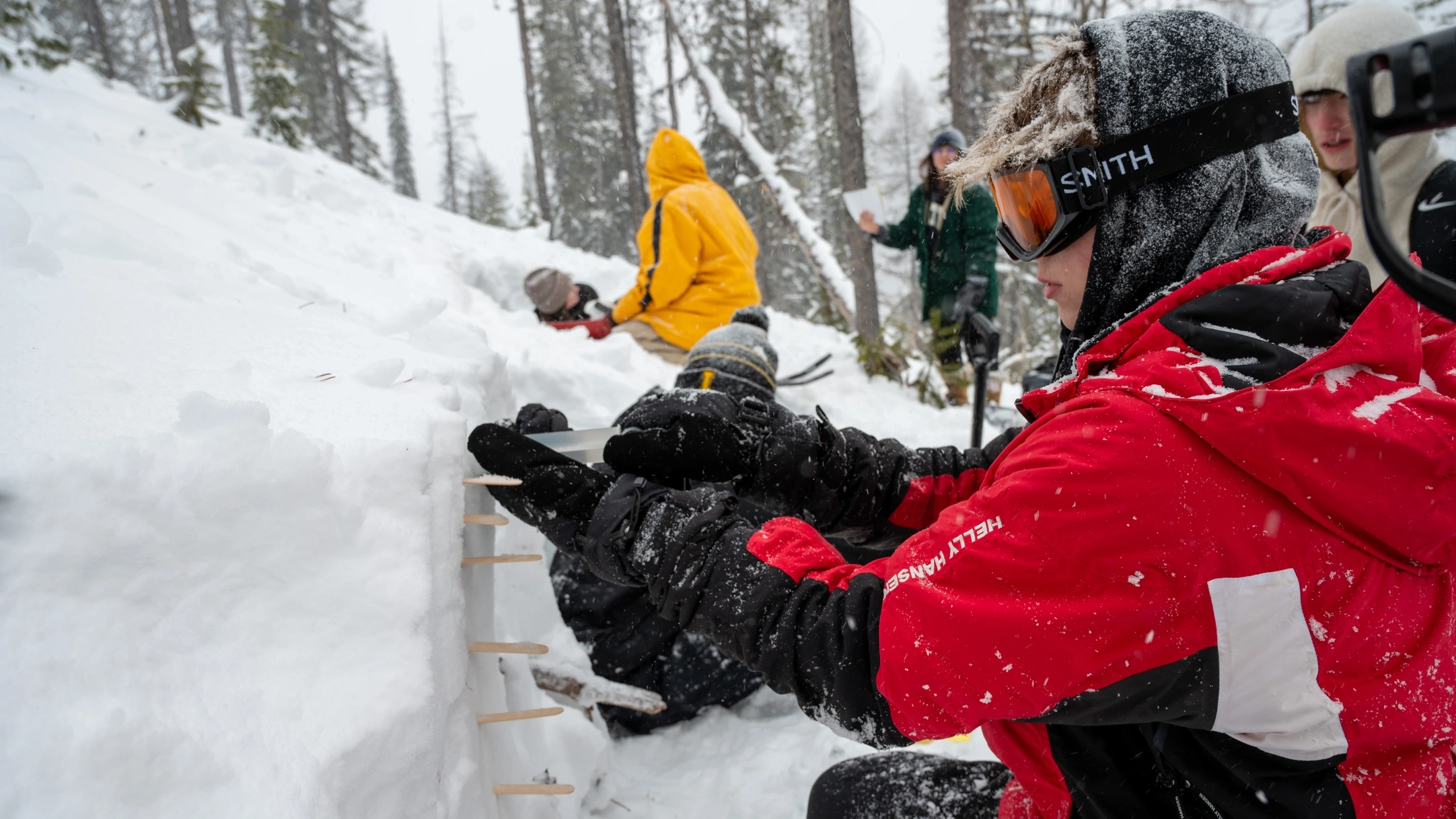 A student takes a snow sample for snow-water equivalency in a snow pit