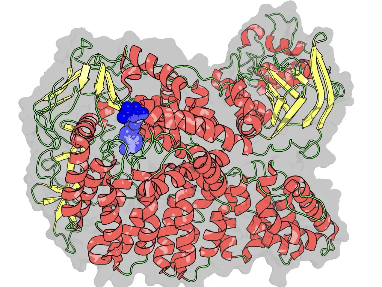 A graphic illustration of a protein.
