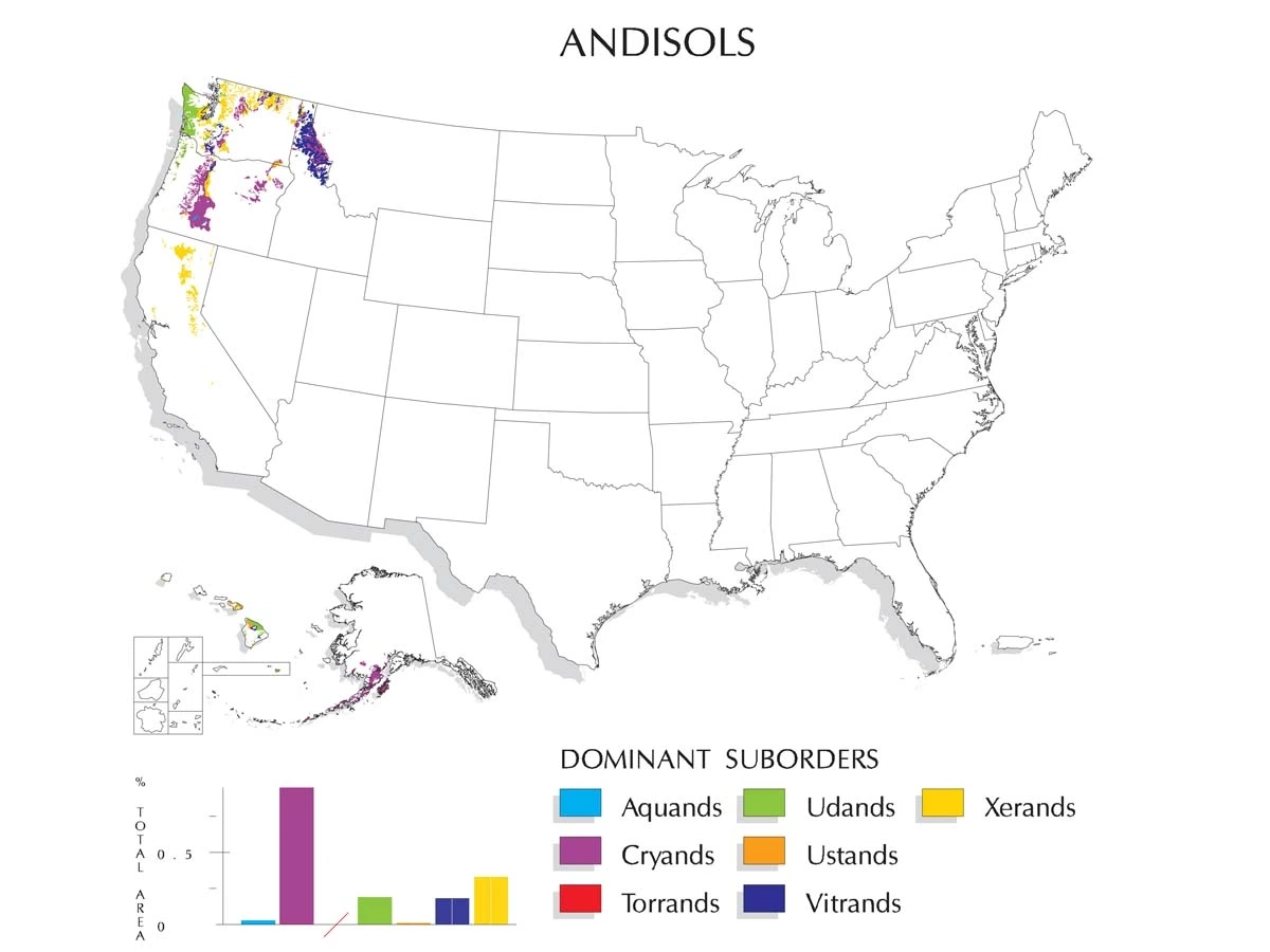 A map of dominate suborders for andisols