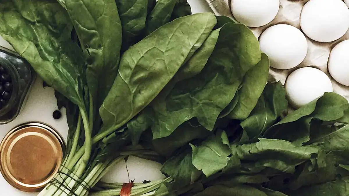 Landscapes and Gardens photos