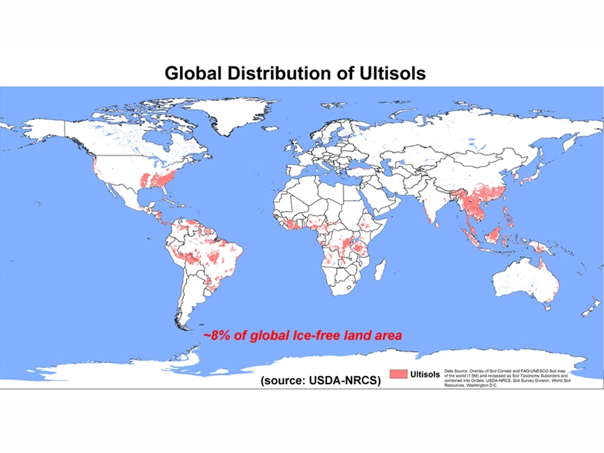A map of global distribution of Ultisols