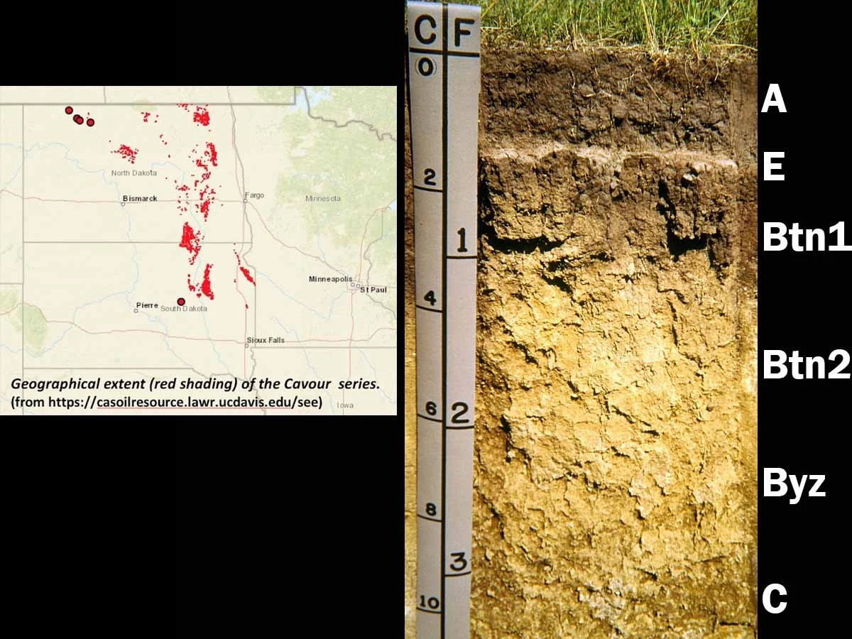 Calcic natrudoll in North Dakota