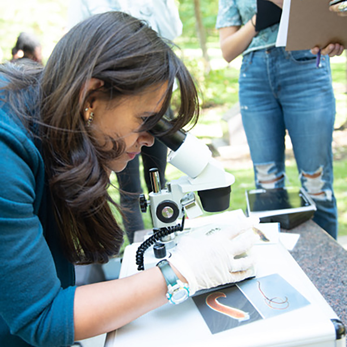 A woman looks into a microscope.