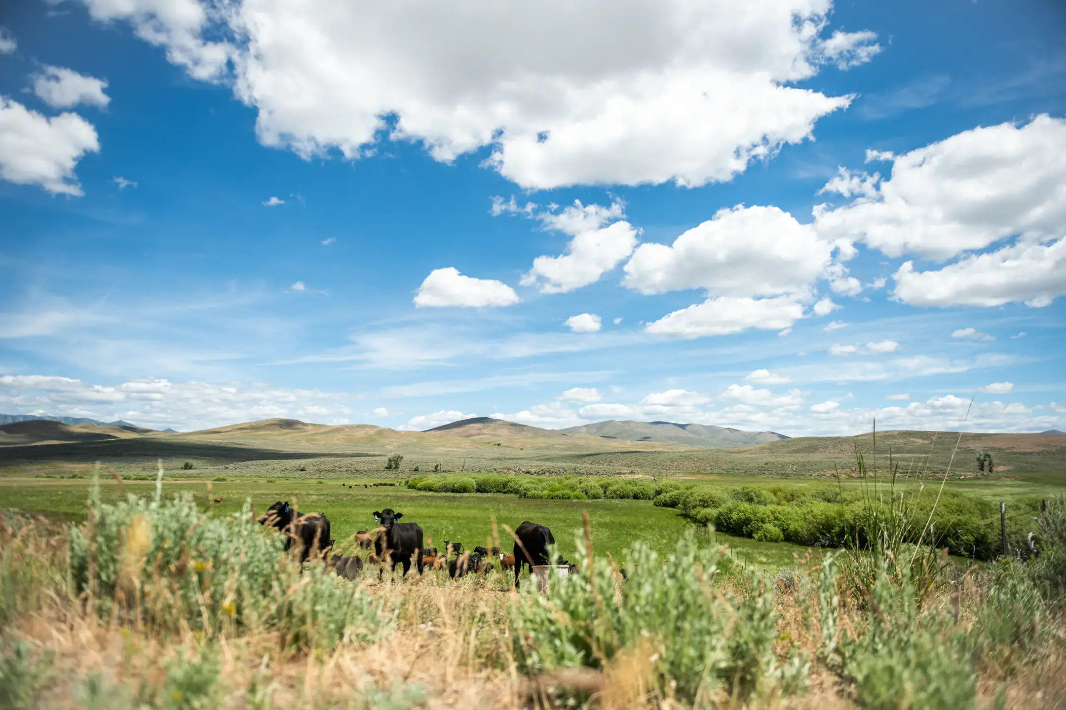 University Communications and Marketing Statewide tour 2020