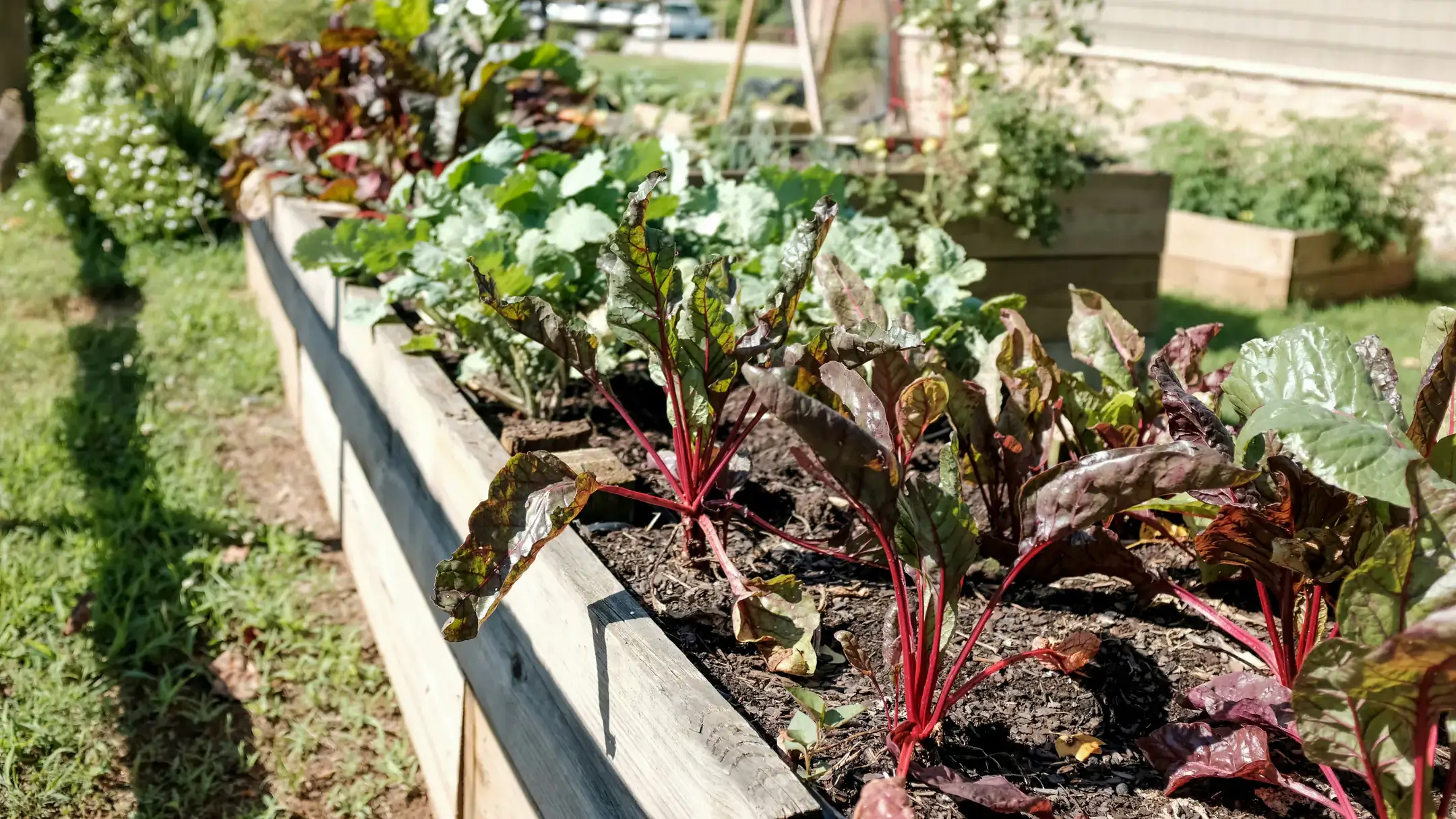 Gardening and horticulture photos