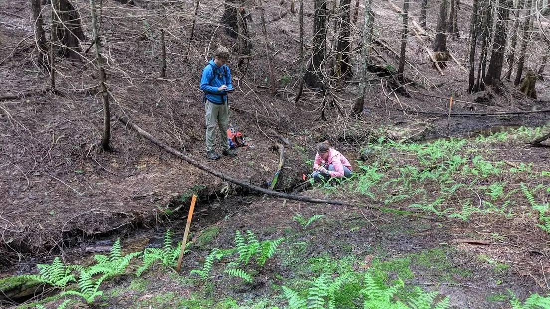 One person kneels is a forest stream while another person looks on.