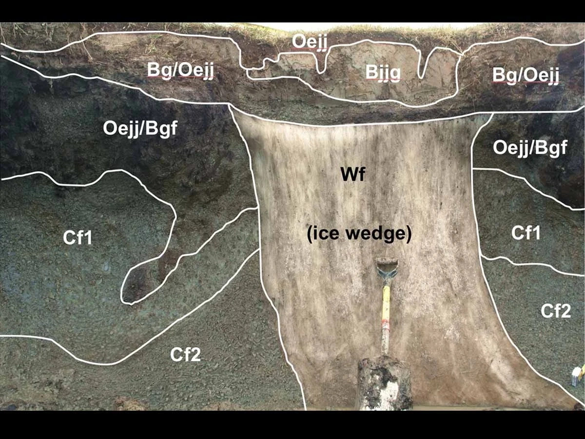 Glacic histoturbel