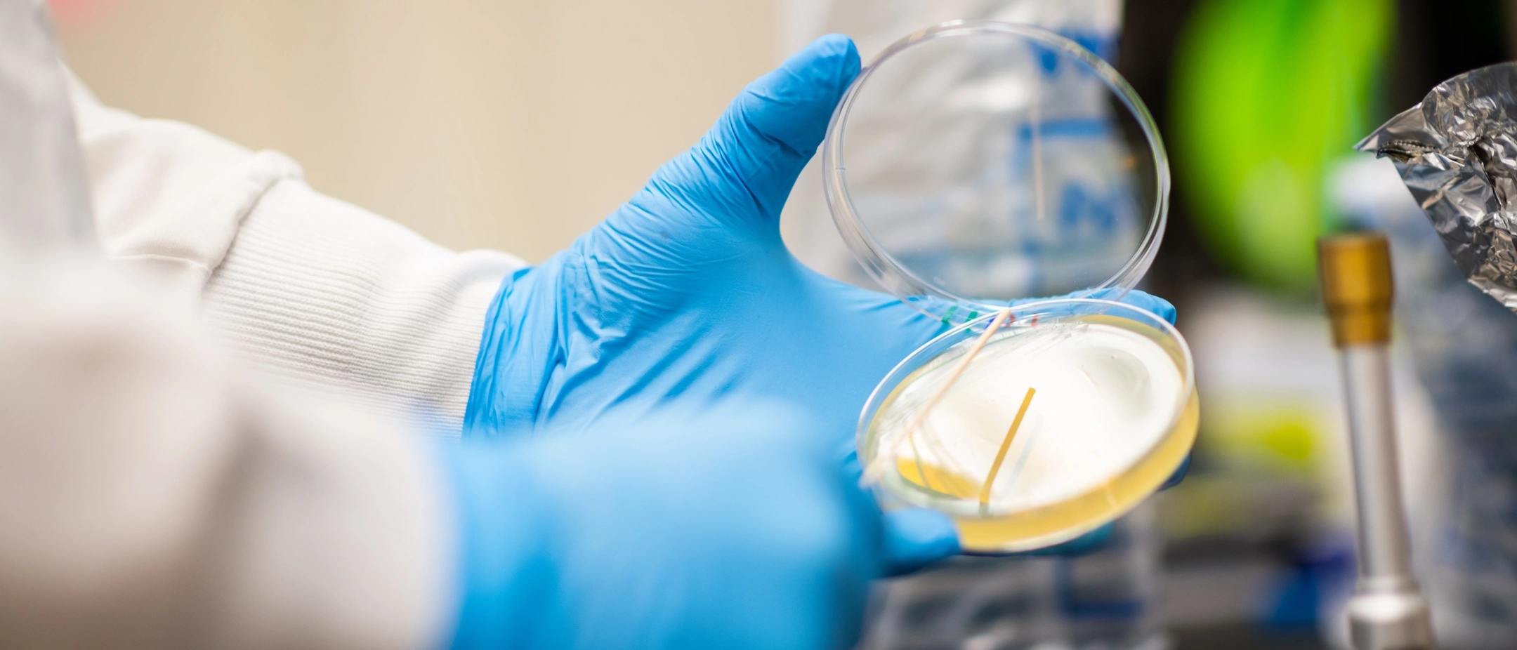 College of Science student team feature in Paul Rowley lab for published research