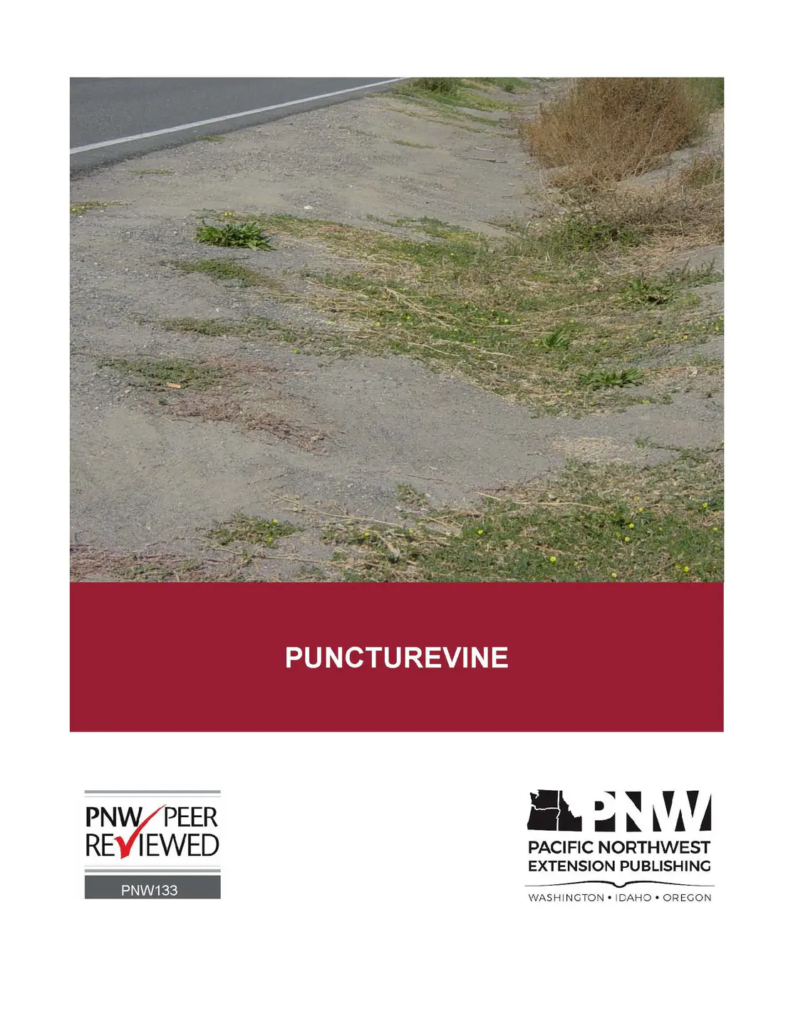 pnw-0133 cover.jpg