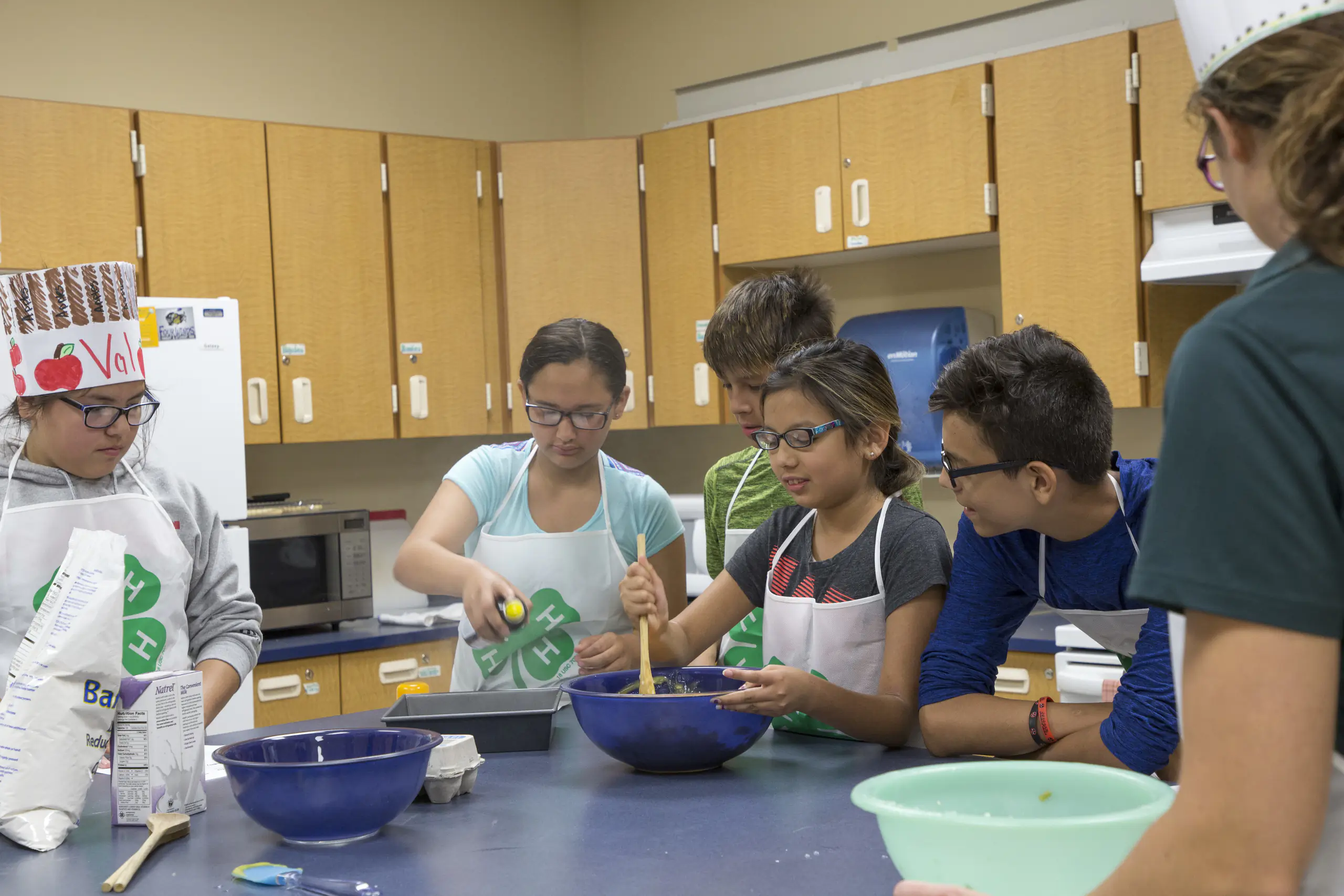 4H Healthy Living.jpg